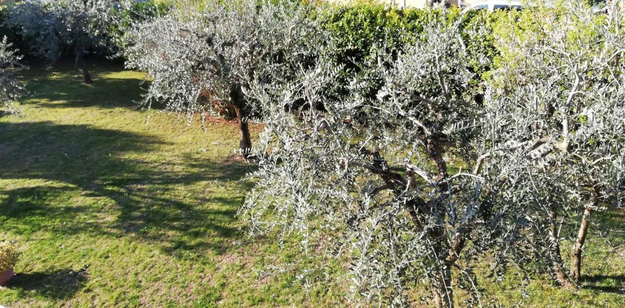 Bed and Breakfast Il Melograno Garda  Zewnętrze zdjęcie